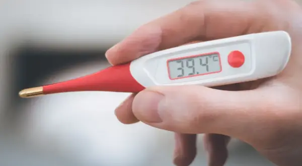 Cyfrowy termometr pokazuje 39.4°C. To może oznaczać gorączkę u psa, który potrzebuje pomocy weterynarza.