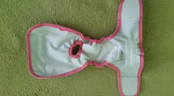 Pielucha dla psa DIY: Szybkie rozwiązania na cieczkę i nietrzymanie.