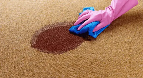 Vanish Gold Carpet Care: Instrukcja krok po kroku dla idealnego dywanu