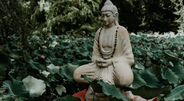 Kamienna figura Buddy w pozycji medytacyjnej, otoczona liśćmi lotosu.
