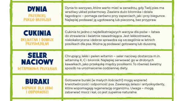 Bezpieczne warzywa dla psa: Lista, zasady, unikaj tych błędów!