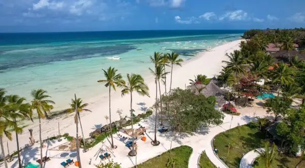 Rajska plaża z palmami i turkusową wodą. Idealne miejsce, by zapytać: kiedy najlepiej na Zanzibar?