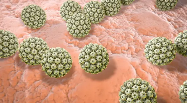 Wirus brodawczaka ludzkiego (HPV) powodujący kurzajki, widoczny pod mikroskopem na powierzchni skóry.