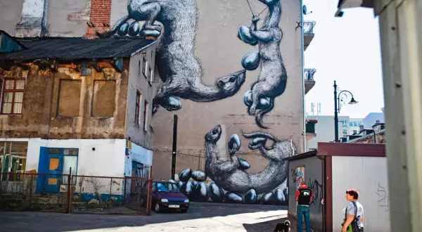 Niesamowite street art przykłady: wielkie, futrzaste zwierzęta bawią się jajkami na ścianie kamienicy. Obok przechodzą ludzie z psem.