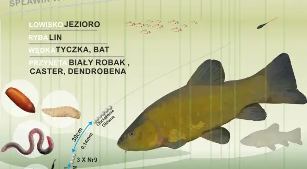 Jaki spławik na lina? Na jezioro, tyczką, z białym robakiem, casterem lub dendrobeną. Zestaw z haczykiem i obciążeniem.