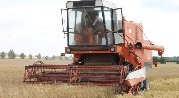 Ile kosztuje kwintal jęczmienia w Radomiu? Ceny, które zaskakują