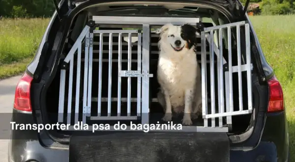 Najlepsze transportery dla psa w Zooplus - wybierz idealny model