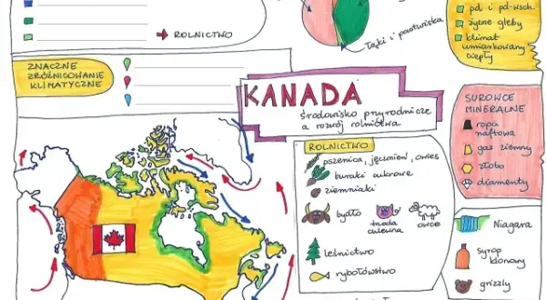 Jaki zeszyt do geografii wybrać, aby uniknąć bałaganu w notatkach?