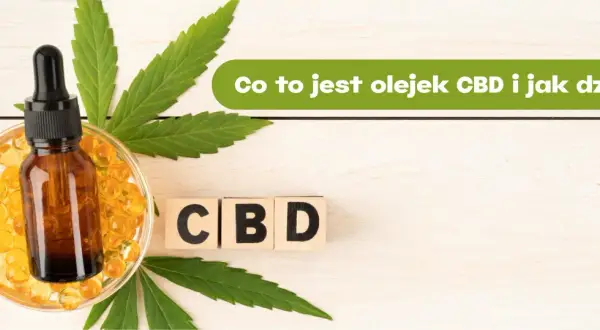 Butelka z olejkiem CBD i kapsułki, liście konopi, kostki z napisem CBD. Dowiedz się, olejek CBD na co pomaga i jak działa.