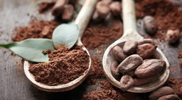 Kakao naturalne a alkalizowane: Klucz do smaku i zdrowia w kuchni