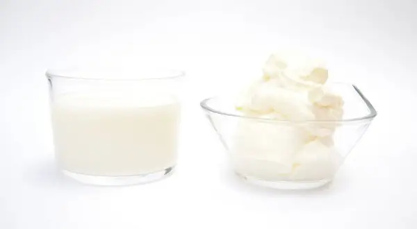 Un vaso de leche y un cuenco con crema de leche, mostrando la diferencia entre ambos.