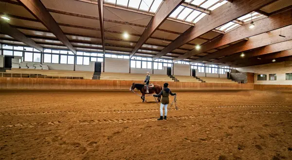 Jeździectwo Łódź: najlepsze kluby i ośrodki jazdy konnej w regionie