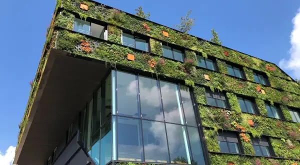 Edificio moderno ricoperto di vegetazione lussureggiante, un esempio di architettura con materiali ecosostenibili.