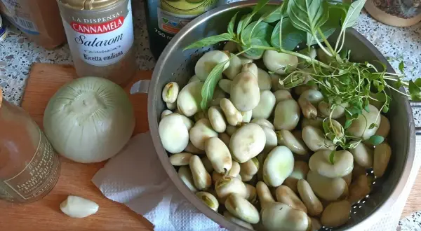 Kiedy jest sezon na bób? Nie przegap najlepszych smaków lata!