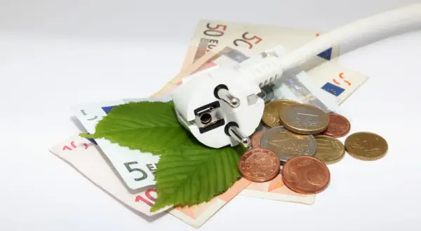 Wtyczka elektryczna, liście i monety na banknotach symbolizują koszt zakupu energii elektrycznej.