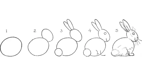Secuencia de pasos para un conejo dibujo. Empieza con círculos y termina con un tierno conejo.