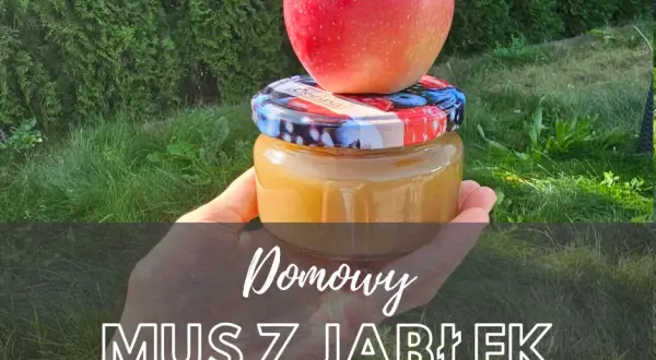 Domowy mus owocowy: Zrób idealny! Bez cukru, dla dzieci, na zimę