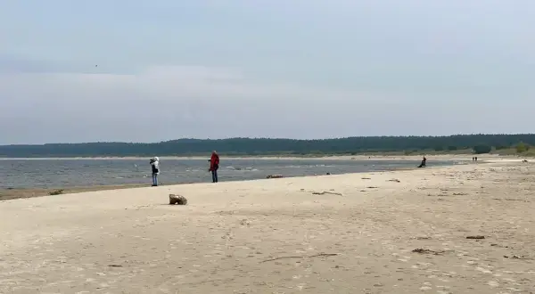 Plaża na Żuławach Wiślanych, gdzie można podziwiać piękno natury i poczuć spokój. Atrakcje przyrodnicze zachwycają.