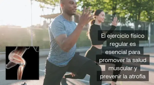 Atrofia muscular: ¿Qué es, cómo evitarla y recuperar tu fuerza?