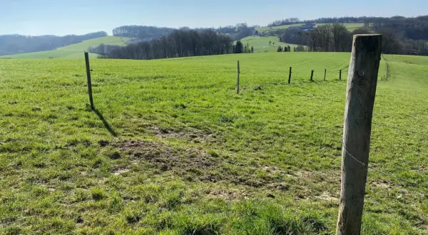 Grüne Hügel und ein sonniger Himmel laden zum **Naafbachtal wandern** ein. Ein Holzzaun markiert den Weg.