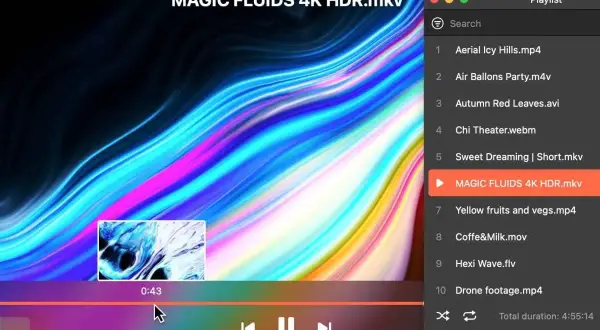 Playing MP4 on Mac is easy with this media player. The playlist shows various video files, including .mp4, .m4v, and .avi.