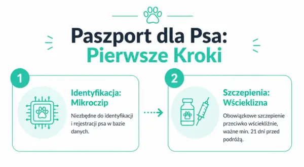 Paszport dla psa: identyfikacja mikroczipem i szczepienie przeciw wściekliźnie to pierwsze kroki przed podróżą.