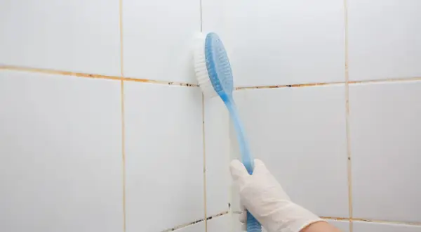 Mano con guanto bianco che pulisce le fughe della doccia con una spazzola blu.