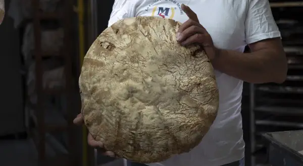 Un fornaio mostra un grande pane rustico, la cui crosta ricorda la ricetta del pane di Monte Sant'Angelo.