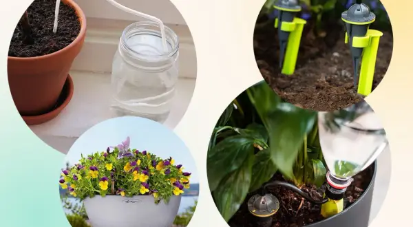 Smart bevattning för krukor: droppbevattning och självbevattningssystem som håller dina växter friska.