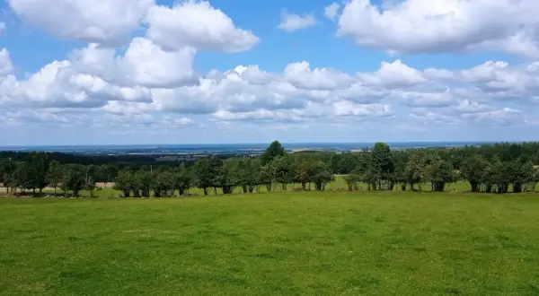 Zielona łąka i las na tle błękitnego nieba z chmurami. Rozległy krajobraz, który przypomina malownicze wzgórza dylewskie.