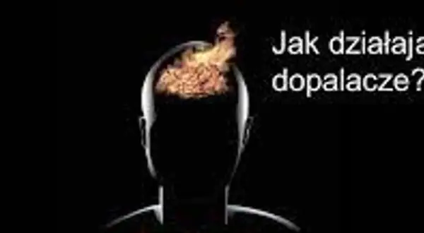 Filmy o dopalaczach: Co obejrzeć, by zrozumieć problem?