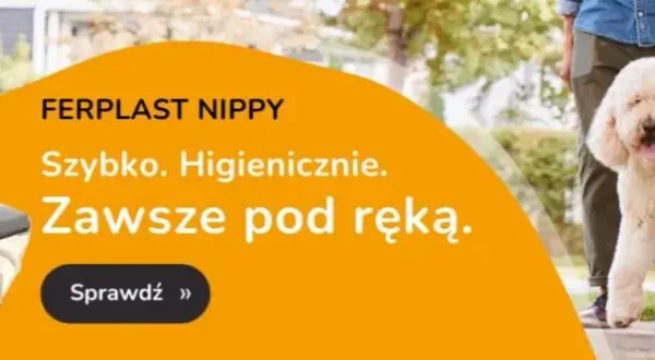 Czy trzeba sprzątać po psie w lesie? Sprawdź obowiązki właścicieli