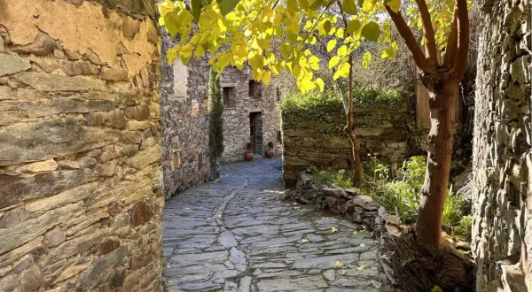 Calle empedrada en Patones de Arriba, con casas de piedra y un árbol frondoso de hojas amarillas.