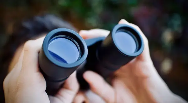 Mani che stringono un binocolo, pronte a esplorare il mondo con uno sguardo più attento.