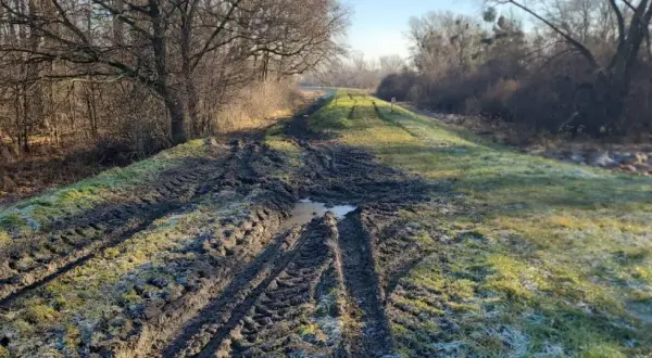 Błotnista ścieżka na wał przeciwpowodziowy, z widocznymi śladami opon i kałużami. Po lewej stronie las, po prawej trawa z pierwszym szronem.