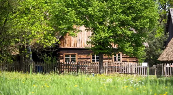 Najlepsze atrakcje w Ochli, które musisz zobaczyć podczas wizyty