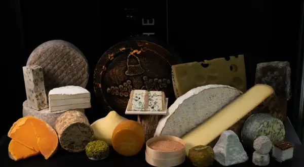 Sélection de fromages variés, un festin pour les yeux. Christophe, fromager passionné, a réuni ces délices.