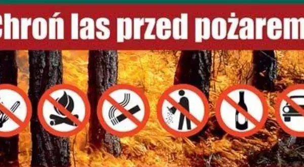 Chroń las przed ogniem! Zakaz rozpalania ogniska, palenia, śmiecenia, picia alkoholu i wjazdu samochodem.