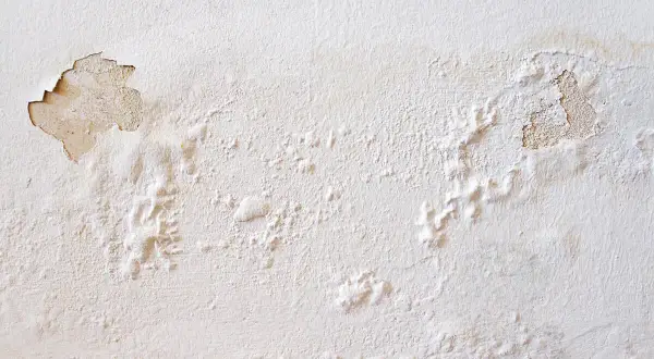 Abblätternde Farbe und Blasenbildung an einer weißen Wand zeigen deutlich, dass man eine feuchte Wand erkennen kann.