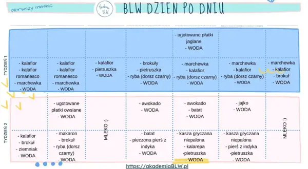 Jadłospis BLW na pierwszy miesiąc: warzywa, ryby, kasze i inne zdrowe propozycje dla malucha.