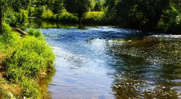 Grüner Uferbewuchs und Bäume säumen einen plätschernden Bach. Die Sonne spiegelt sich im Wasser, ideal zum Angeln am Bach.