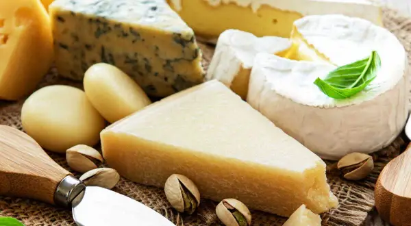 Un assortiment de fromages, dont du bleu et du brie, avec des pistaches. Le fromage est-il une protéine ? Oui, c'est une excellente source.