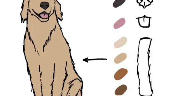Jak narysować golden retrievera - proste kroki do udanego rysunku