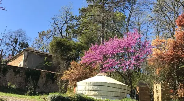 Une yourte d'hôtes en Dordogne, nichée au milieu d'arbres en fleurs et d'une végétation luxuriante, avec une maison en pierre en arrière-plan.
