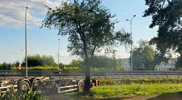 Puste naczepy stoją przy drodze. W tle drzewo, o ile można skrócić drzewo bez zezwolenia, i budynek.