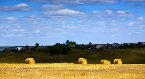 Agroturystyka czy to dobry biznes? Odkryj ukryte zyski i wyzwania