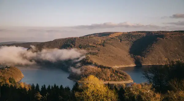 Vue panoramique d'un lac sinueux entouré de collines boisées aux couleurs d'automne, avec des nuages bas flottant sur l'eau. Un paysage typique du parc national de l'Eifel.