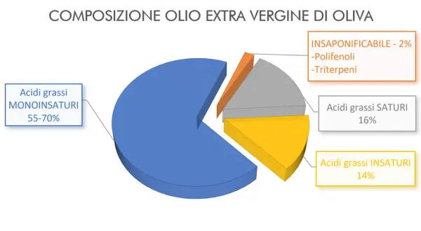 Grafico a torta sulla composizione dell'olio EVO: 55-70% acidi grassi monoinsaturi, 16% saturi, 14% insaturi. L'insaponificabile (2%) include polifenoli, rendendo l'olio più ricco di polifenoli.