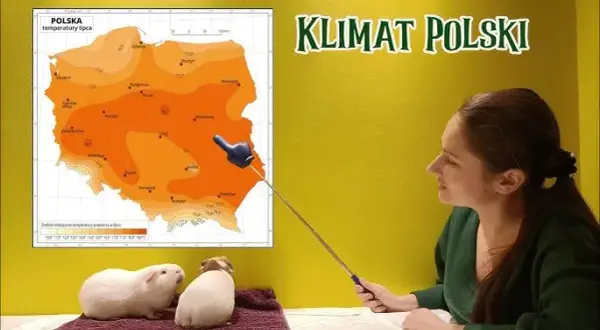 Co kształtuje klimat i opady w Polsce? Odkryj kluczowe czynniki
