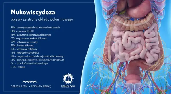Układ pokarmowy w mukowiscydozie: objawy obejmują niewydolność trzustki, cukrzycę, problemy z wątrobą i jelitami.